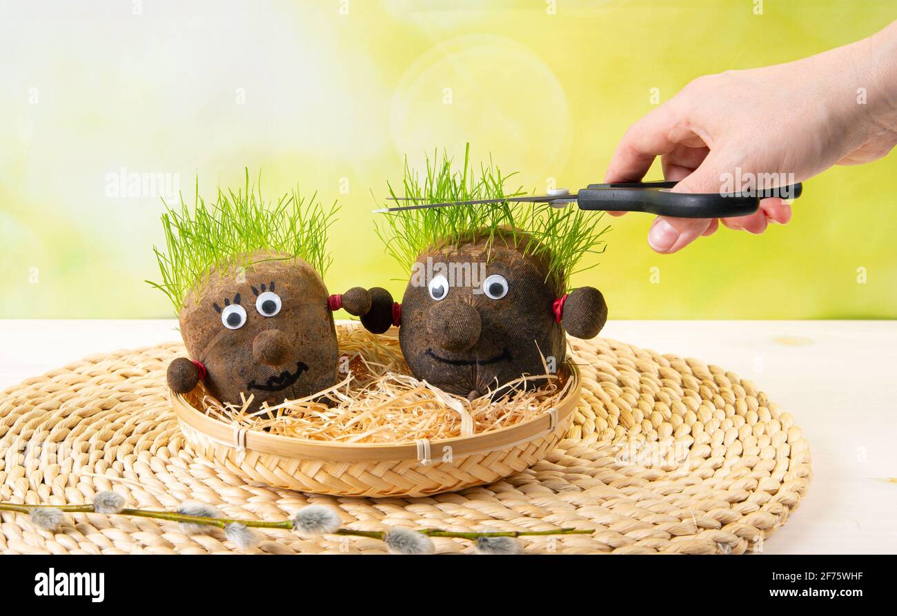 Due graziose teste d'erba fatte in casa e taglio a mano erba crescente dei capelli. Calze riempite di terreno e semi d'erba. Divertente hobby primavera giardinaggio. Foto Stock