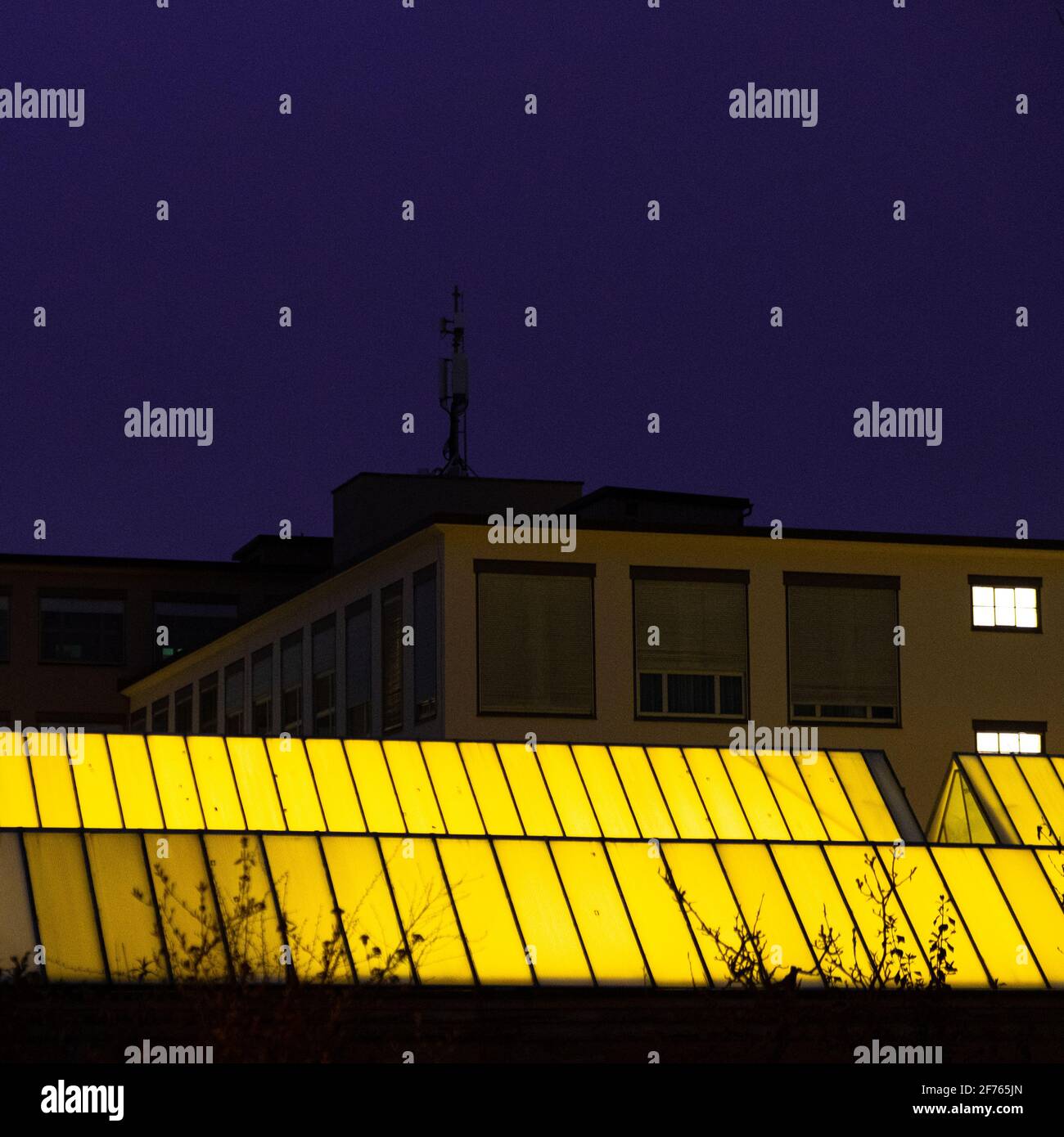 tetto a effetto serra illuminato di notte Foto Stock