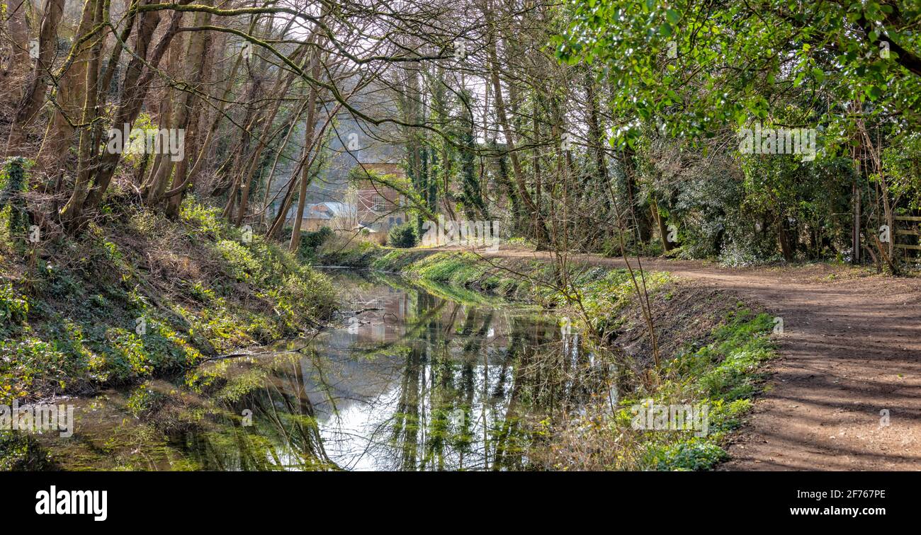 Il canale Severn-Thames non restaurato a Chalford, Stroud, Inghilterra, Regno Unito Foto Stock