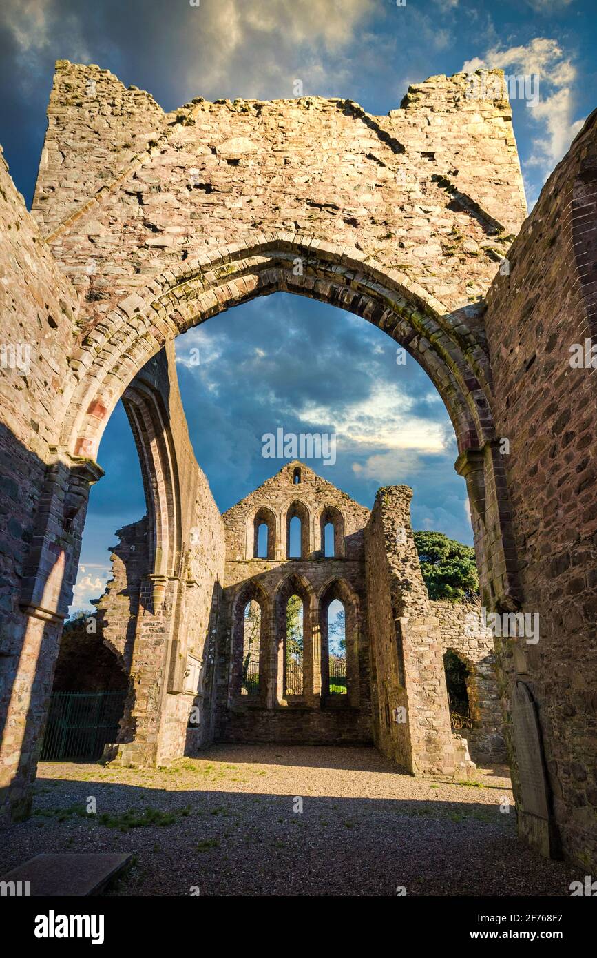 Rovine di Gray Abbey antico monastero nel villaggio di Greyabbey, County Down, Irlanda del Nord sulla riva di Strangford Lough. Foto Stock