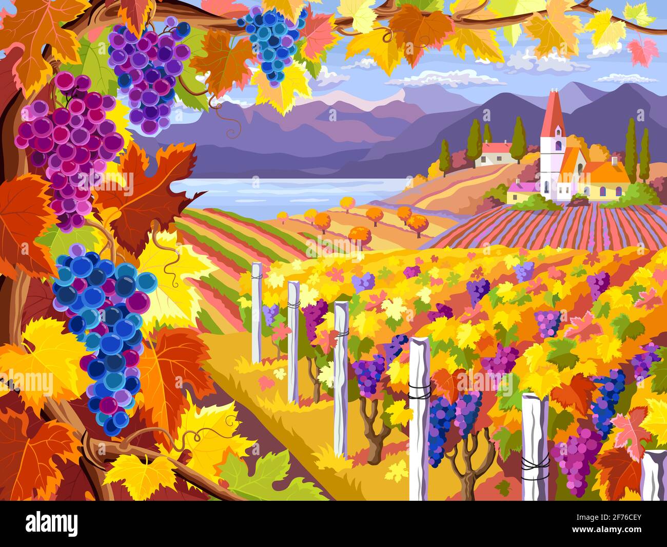 Paesaggio rurale con vigneto, grappoli d'uva, campi e mare. Paesaggio rurale autunno. Illustrazione Vettoriale