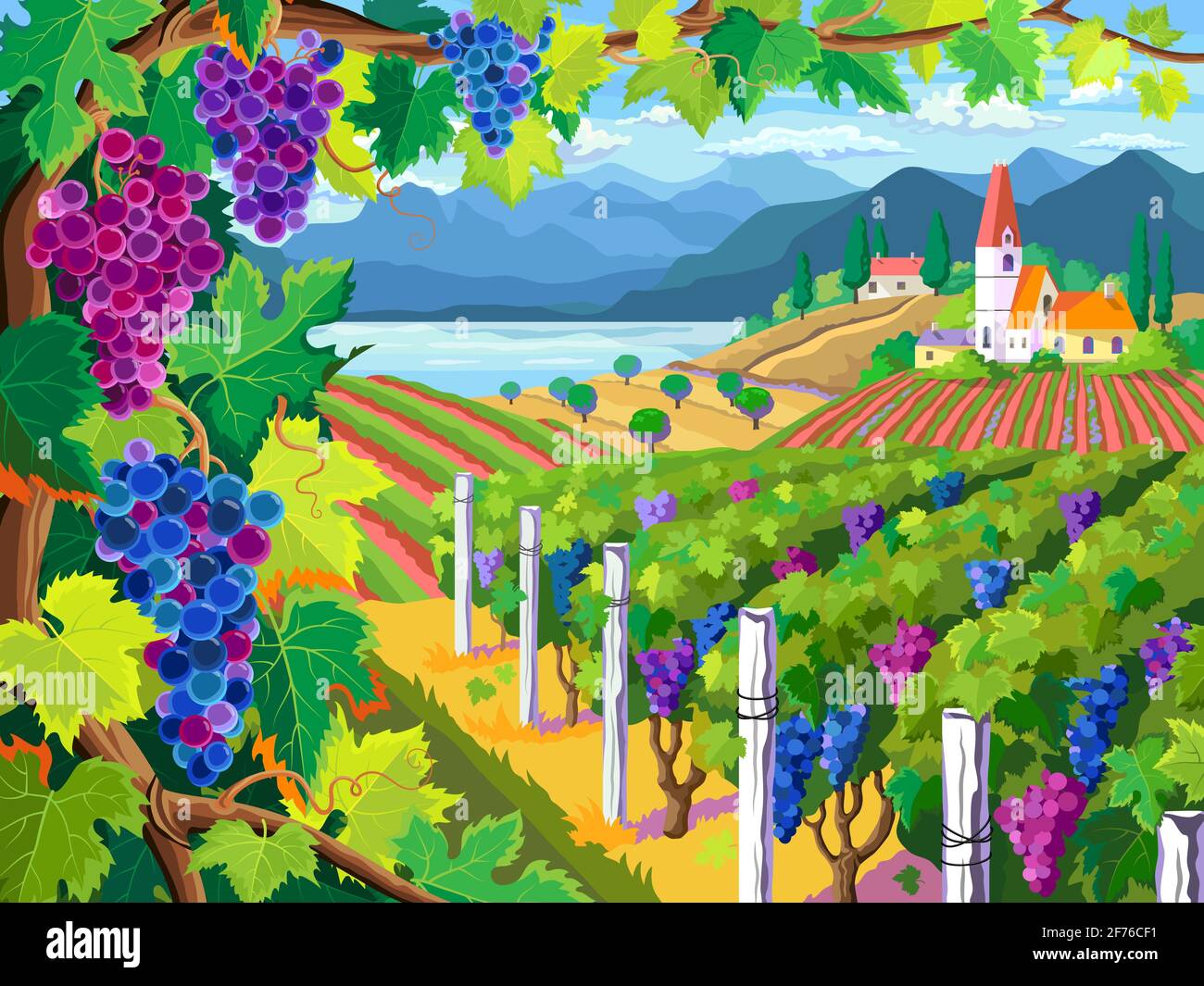 Paesaggio rurale con vigneti e grappoli d'uva Illustrazione Vettoriale