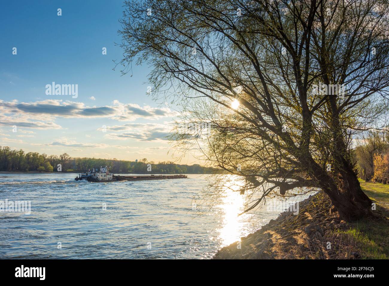 Nationalpark Donauauen, Parco Nazionale del Danubio-Auen: fiume Donau (Danubio), nave da carico a Donau, Niederösterreich, bassa Austria, Austria Foto Stock