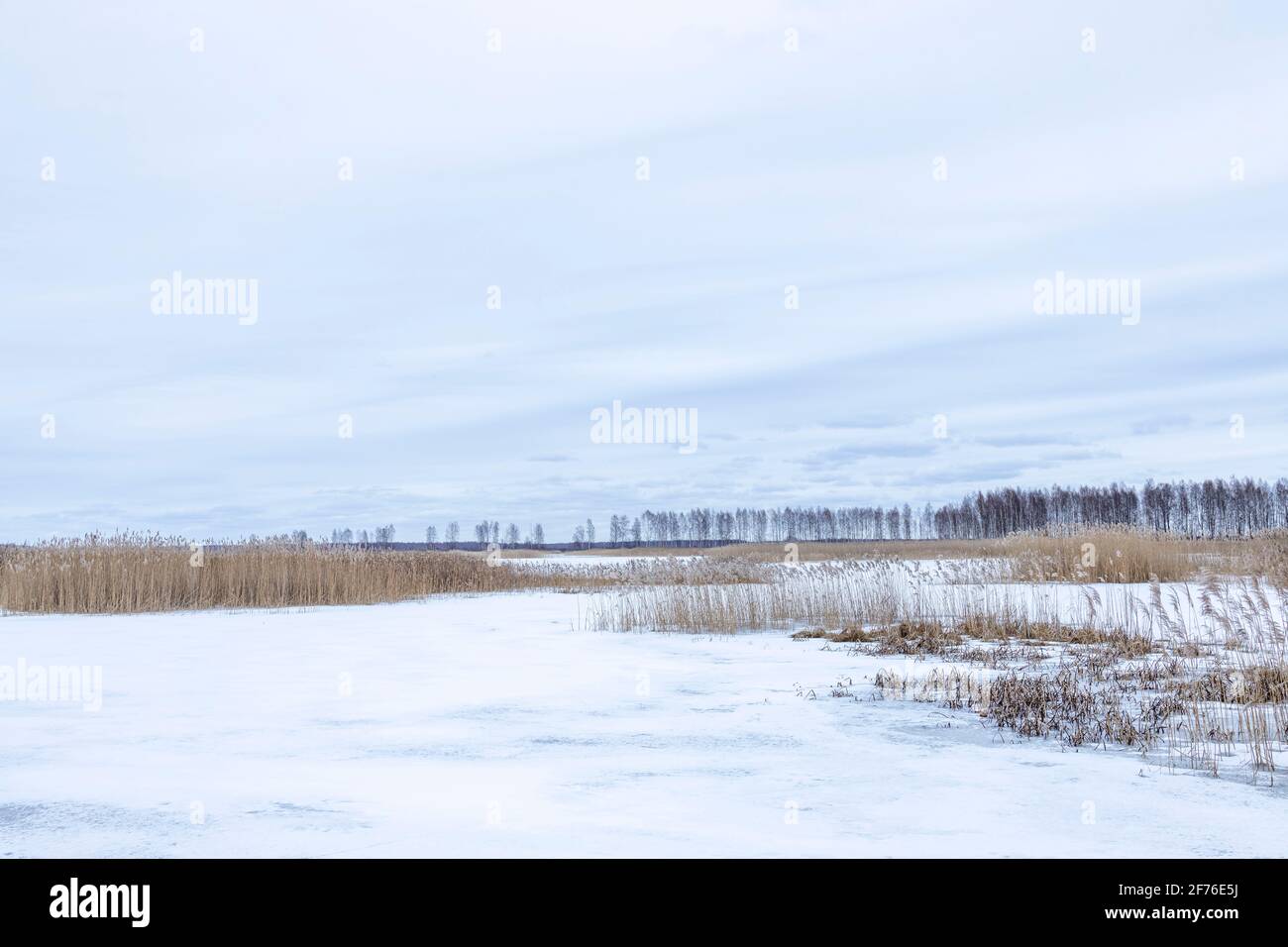 Paesaggio invernale con un lago di palude sviluppato. Foto Stock