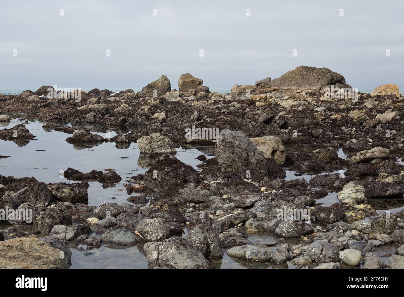 Formazioni rocciose rivelate con bassa marea presso la McVay Rock state Recreation Area di Brookings, Oregon. Foto Stock