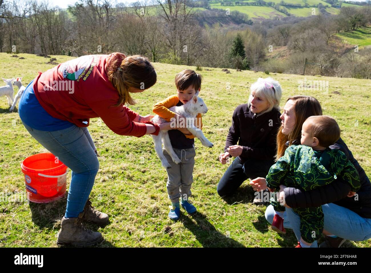 Donna contadina al tempo di lambing mostrando l'agnello al ragazzino E famiglia in agriturismo in primavera Carmarthenshire Galles UK Gran Bretagna KATHY DEWITT Foto Stock