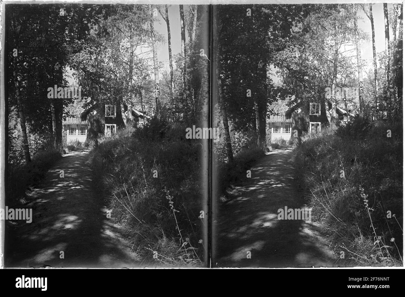 Stereone negativo con motivi di piccolo cottage in glade foresta. Luogo sconosciuto. Foto Stock