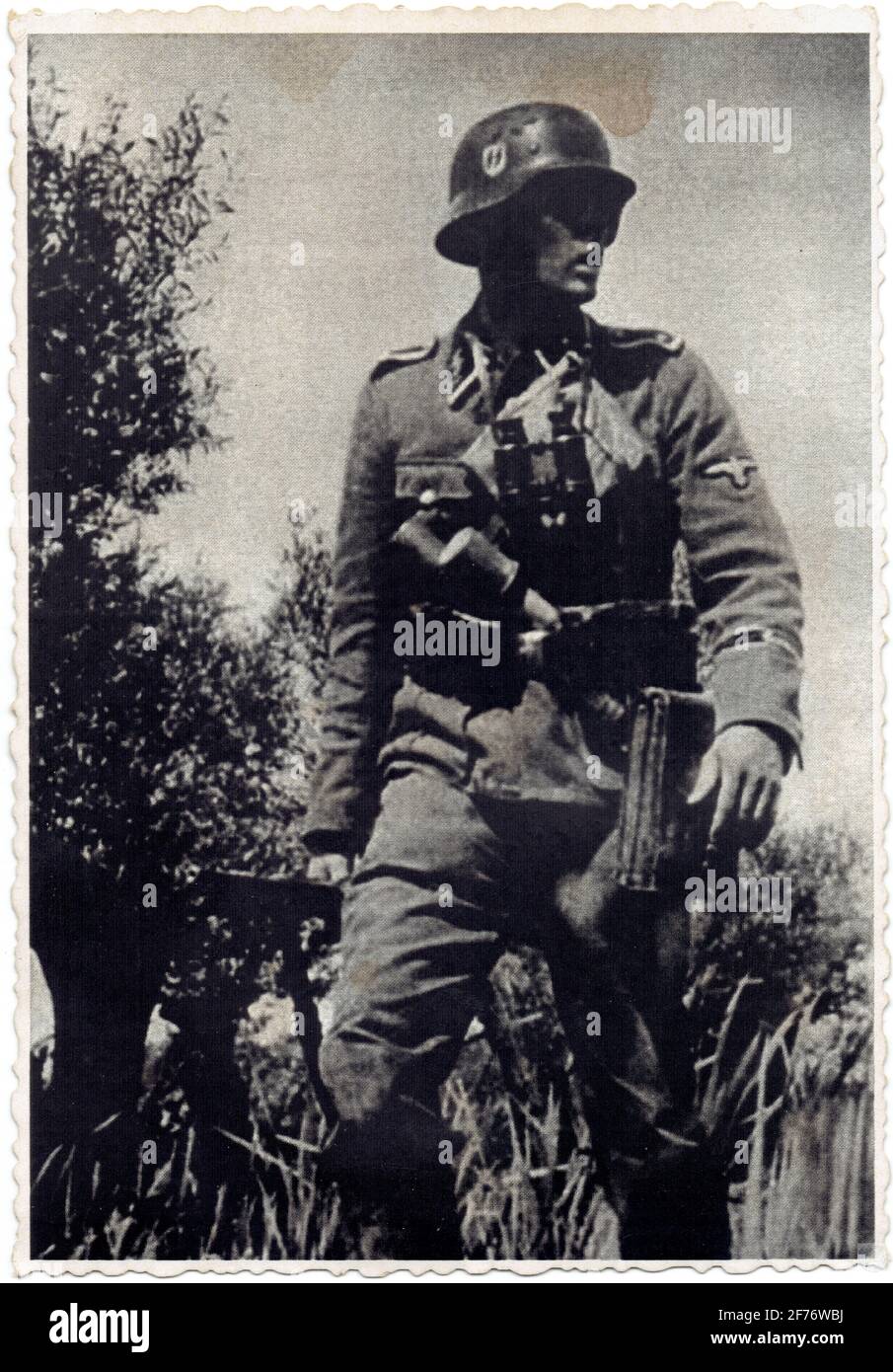 Sous-officier de la Waffen SS Foto Stock