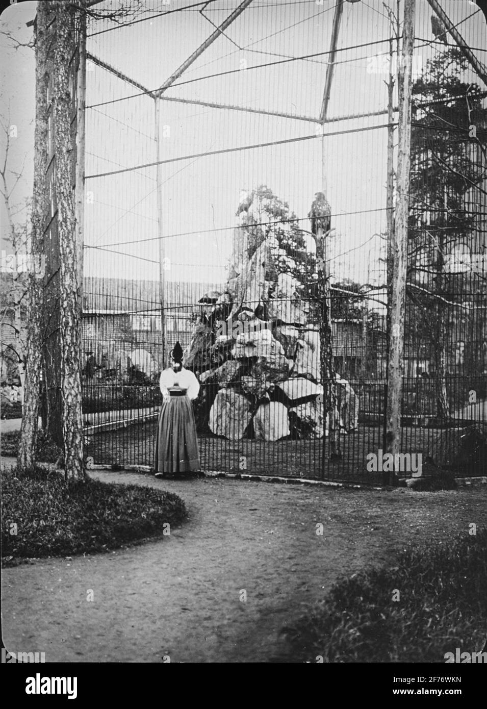 Immagine di proiezione con motivi da Skansen. Foto Stock