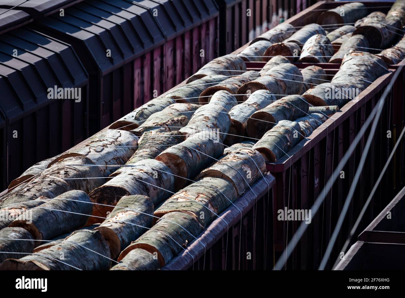 Treno cargo. Trasporti ferroviari. Trasporto ferroviario. Industria globale e internazionale del trasporto merci. Foto Stock