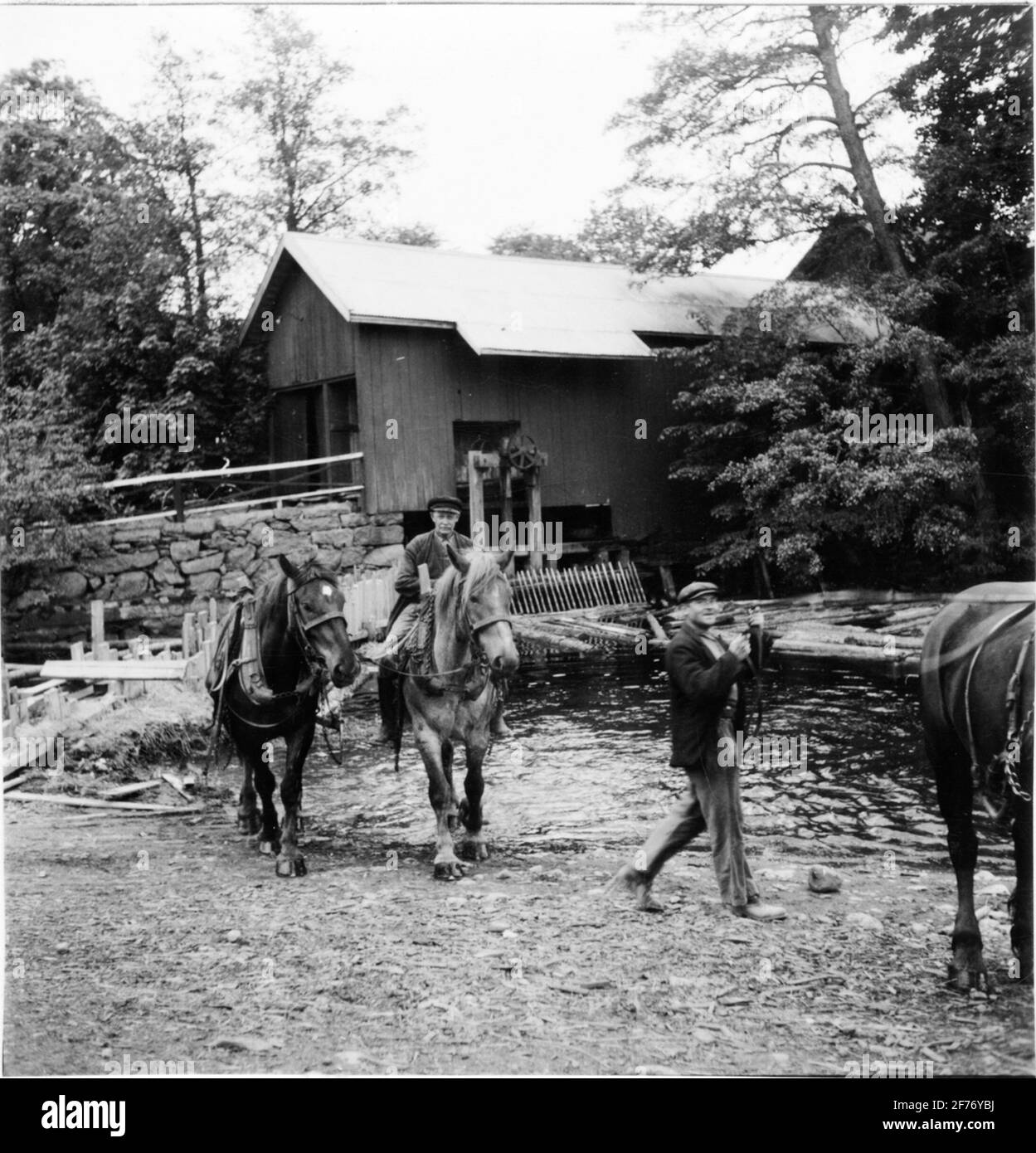 Cavalcare i cavalli al mulino di Huseby. La fotografia scattata in connessione con le riprese Olle Ekberg. Foto Stock