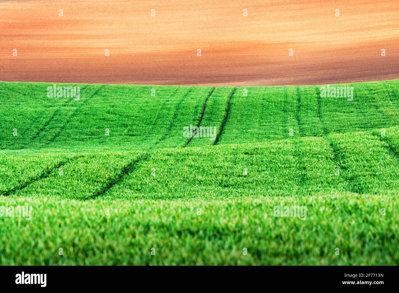 Paesaggio rurale astratto con campi agricoli sulle colline di primavera. Regione Della Moravia Meridionale, Repubblica Ceca Foto Stock