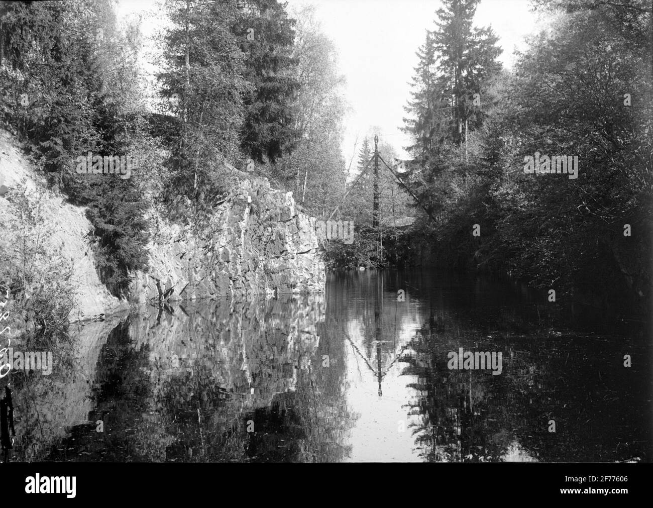 Foresta. Luogo sconosciuto. Foto Stock