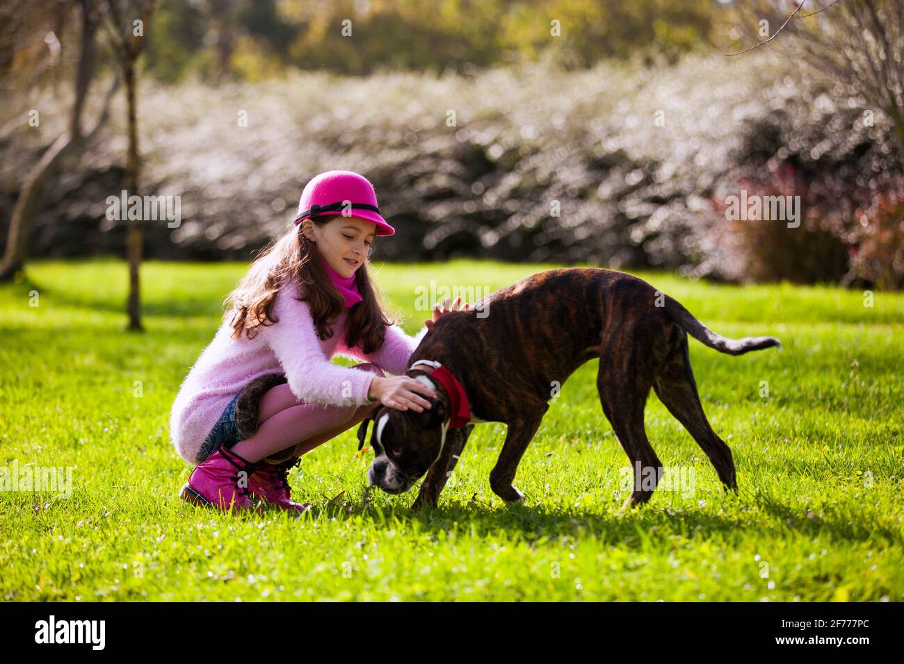 Bambino con un cane da boxe al parco cittadino Foto Stock
