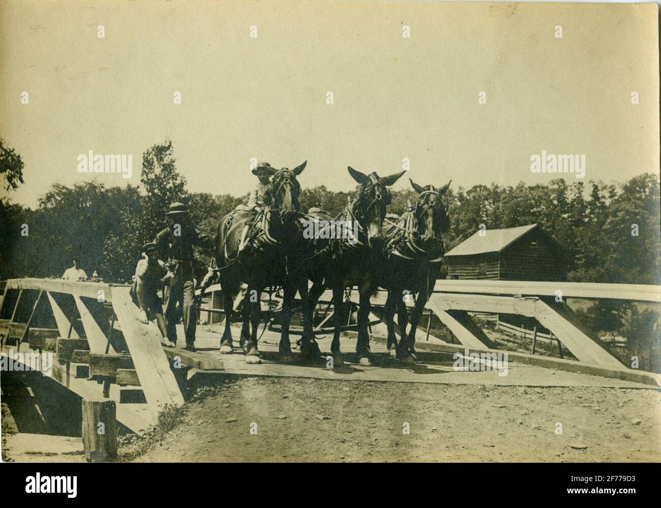 Lavorare i cavalli su un ponte conosciuto. Probabilmente in America. Foto Stock