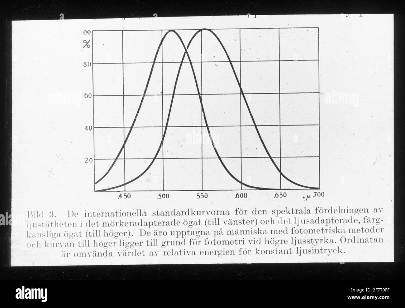 Immagine Skiopticon del Dipartimento di Fotografia del Royal Institute of Technology. Utilizzo da parte del professor Helmer Bäckström come materiale didattico. Bäckström è stato il primo professore svedese di fotografia al Royal Institute of Technology di Stoccolma 1948-1958. Curve standard internazionali per la distribuzione spettrale della densità della luce dell'occhio dal bordo scuro (a sinistra) e dell'occhio sensibile al colore (a destra). Per ulteriori informazioni, vedere: COSMOS. STAMPA SCIENTIFICA SVEDESE. Uppsala. 1945, pag. 26. Foto Stock