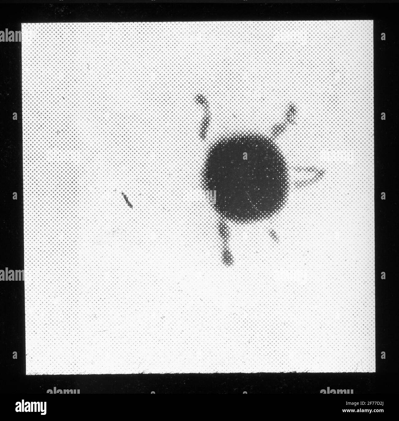 Immagine Skiopticon del Dipartimento di Fotografia del Royal Institute of Technology. Utilizzo da parte del professor Helmer Bäckström come materiale didattico. Bäckström è stato il primo professore svedese di fotografia al Royal Institute of Technology di Stoccolma 1948-1958.A Stadio nello sviluppo di argento bromidekorn.mees, Kenneth C.E. La Teoria del processo fotografico. MacMillian Co. New York. 1942. pag. 313. Foto Stock