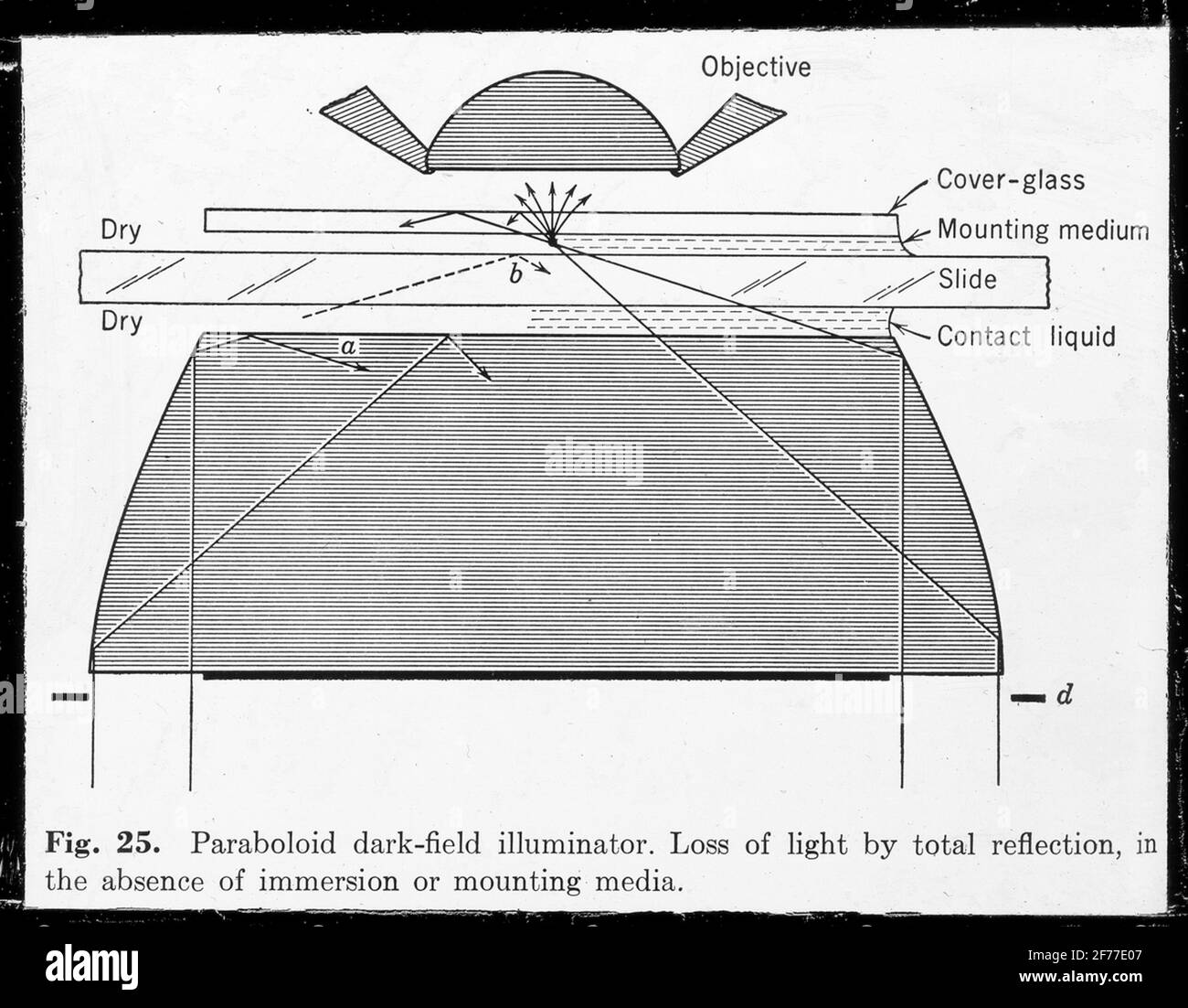 Immagine Skiopticon del Dipartimento di Fotografia del Royal Institute of Technology. Utilizzo da parte del professor Helmer Bäckström come materiale didattico. Bäckström è stato il primo professore svedese di fotografia al Royal Institute of Technology di Stoccolma 1948-1958.paraboloide illuminazione a campo scuro. Perdita di luce per riflessione totale, in assenza di immersione o di agente di montaggio.Bäckström, Helmer. Manuale fotografico. Altra edizione rivista. Natura e Cultura. Stoccolma. 1948. pag. 1200. Foto Stock
