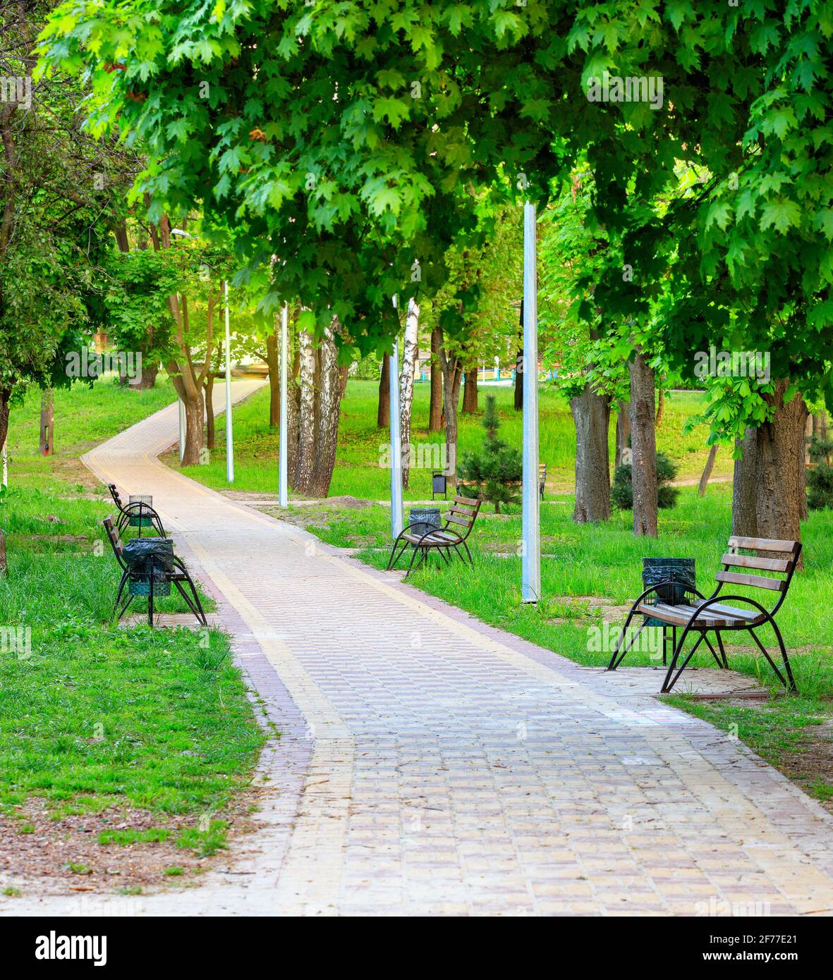 Un arioso parco urbano estivo si illumina di verde e vibrante lungo un passerella lastricata con panchine di legno. Foto Stock