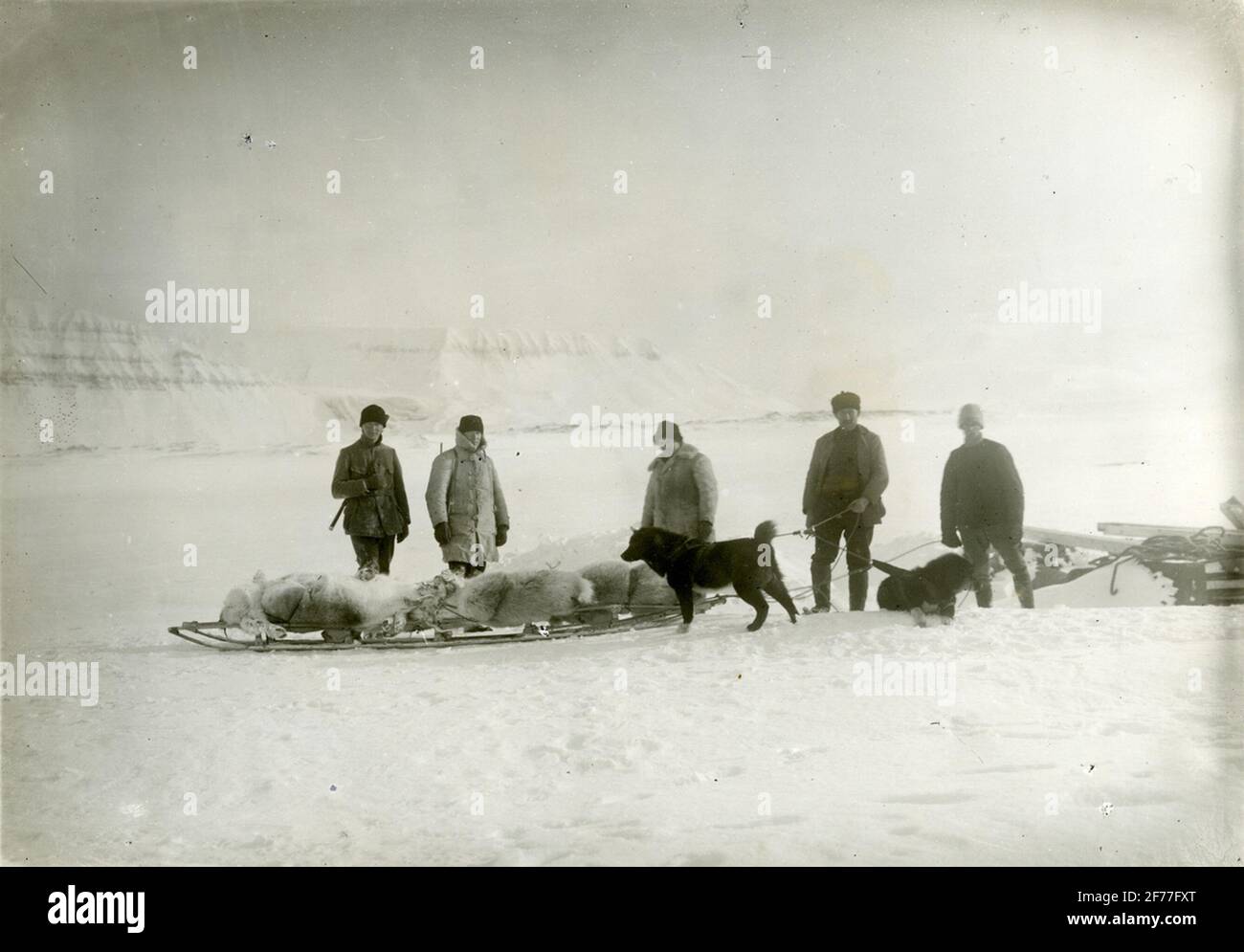 L'uva del sudore. Il risultato della caccia alle renne. Foto Stock