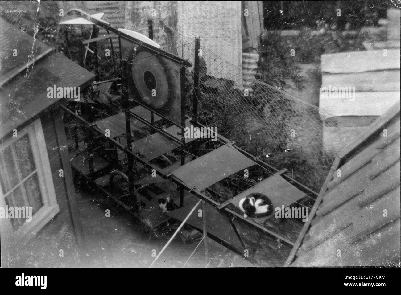 Dettaglio della macchina volante costruita a casa presso la compagnia aeroportuale Meister 1927-1928. Gatti che dormono sulla macchina volante. Torslanda 16 giugno 1928. Foto Stock