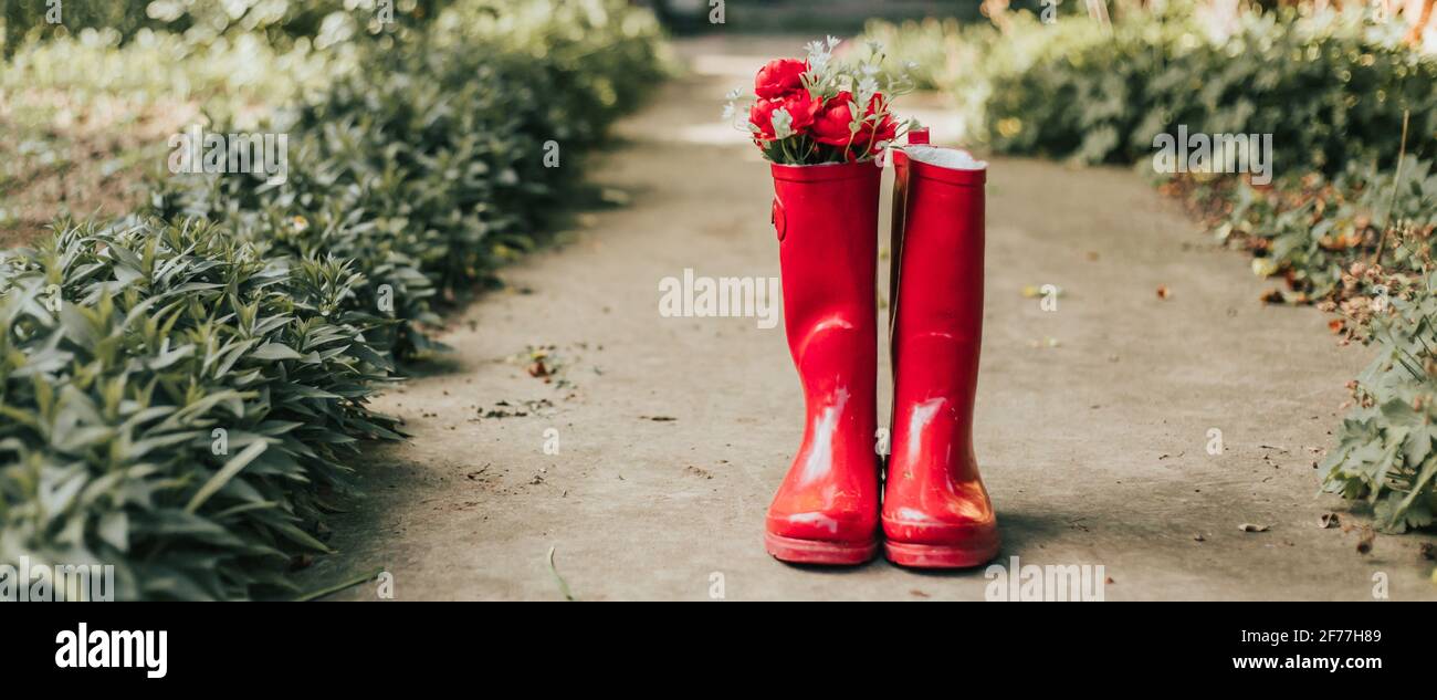 Stivali in gomma piovosa rossa. Formato widescreen, cinema, banner. Spazio di copia Foto Stock