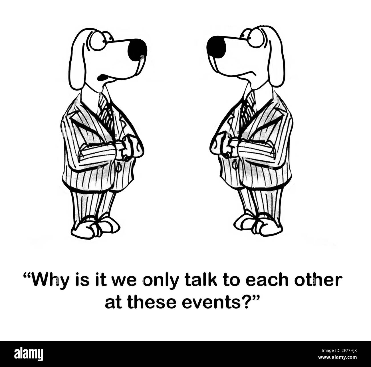 Due cani da ufficio si agganciano l'uno all'altro durante gli eventi aziendali. Foto Stock