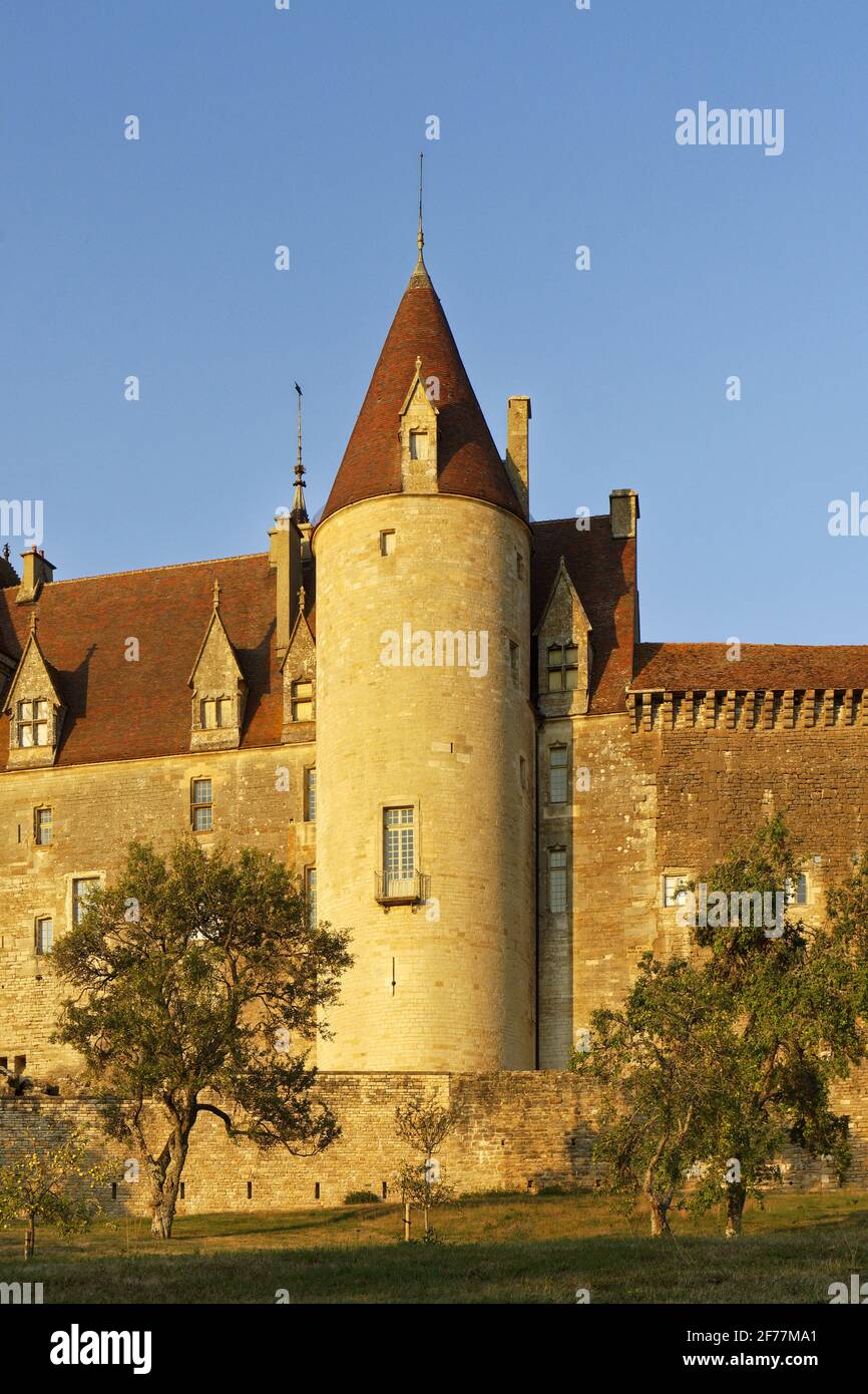Francia, Cote d'Or, Chateauneuf en Auxois, etichettato Les Plus Beaux Villages de France (i più bei villaggi di Francia), il castello Foto Stock