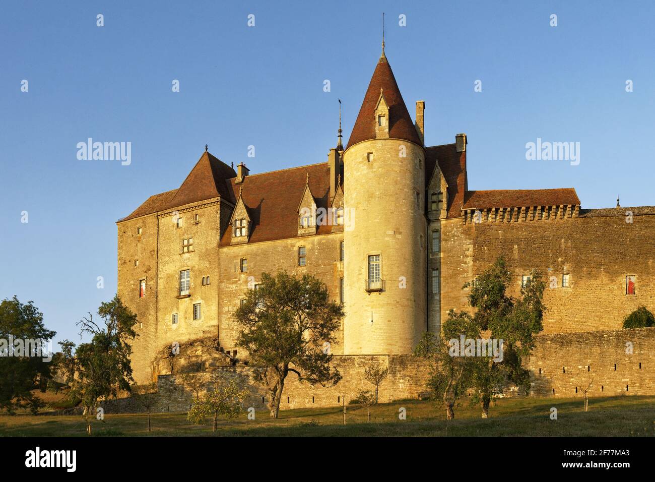 Francia, Cote d'Or, Chateauneuf en Auxois, etichettato Les Plus Beaux Villages de France (i più bei villaggi di Francia), il castello Foto Stock