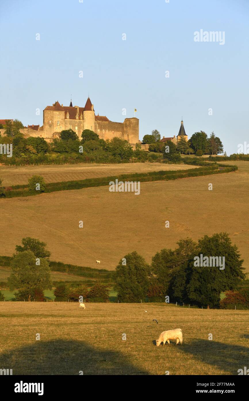 Francia, Cote d'Or, Chateauneuf en Auxois, etichettato Les Plus Beaux Villages de France (i più bei villaggi di Francia), vista generale del villaggio con il castello Foto Stock