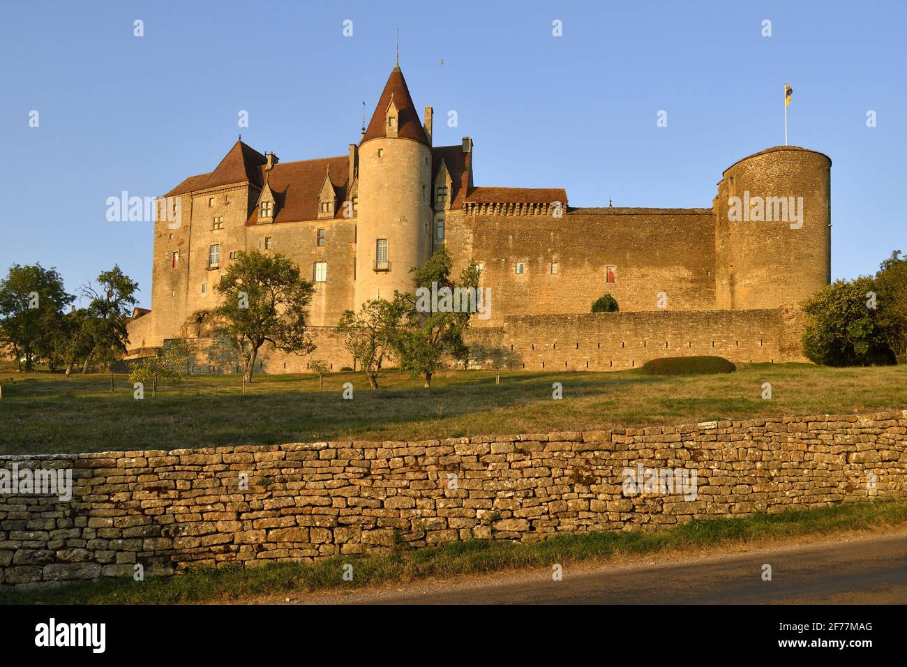 Francia, Cote d'Or, Chateauneuf en Auxois, etichettato Les Plus Beaux Villages de France (i più bei villaggi di Francia), il castello Foto Stock