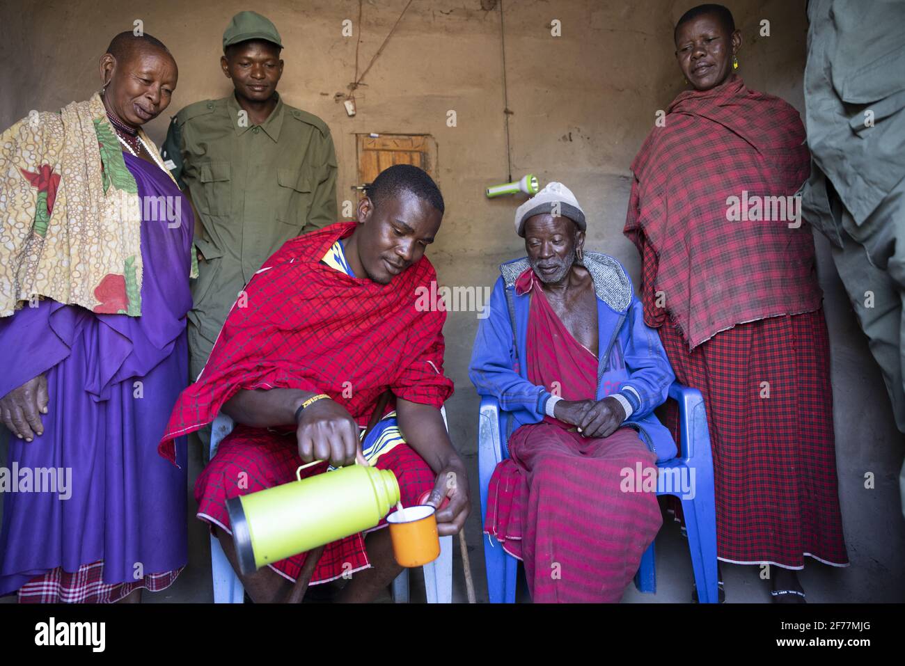 Tanzania, WMA (area di gestione della fauna selvatica) di Randilen, boma Melembuki Mengoru, i ranger spesso visitano il Massai per contribuire a proteggere la fauna selvatica insieme a raccolti e bestiame, qui nel centro il capo villaggio condivide il tè con il latte con i ranger Foto Stock