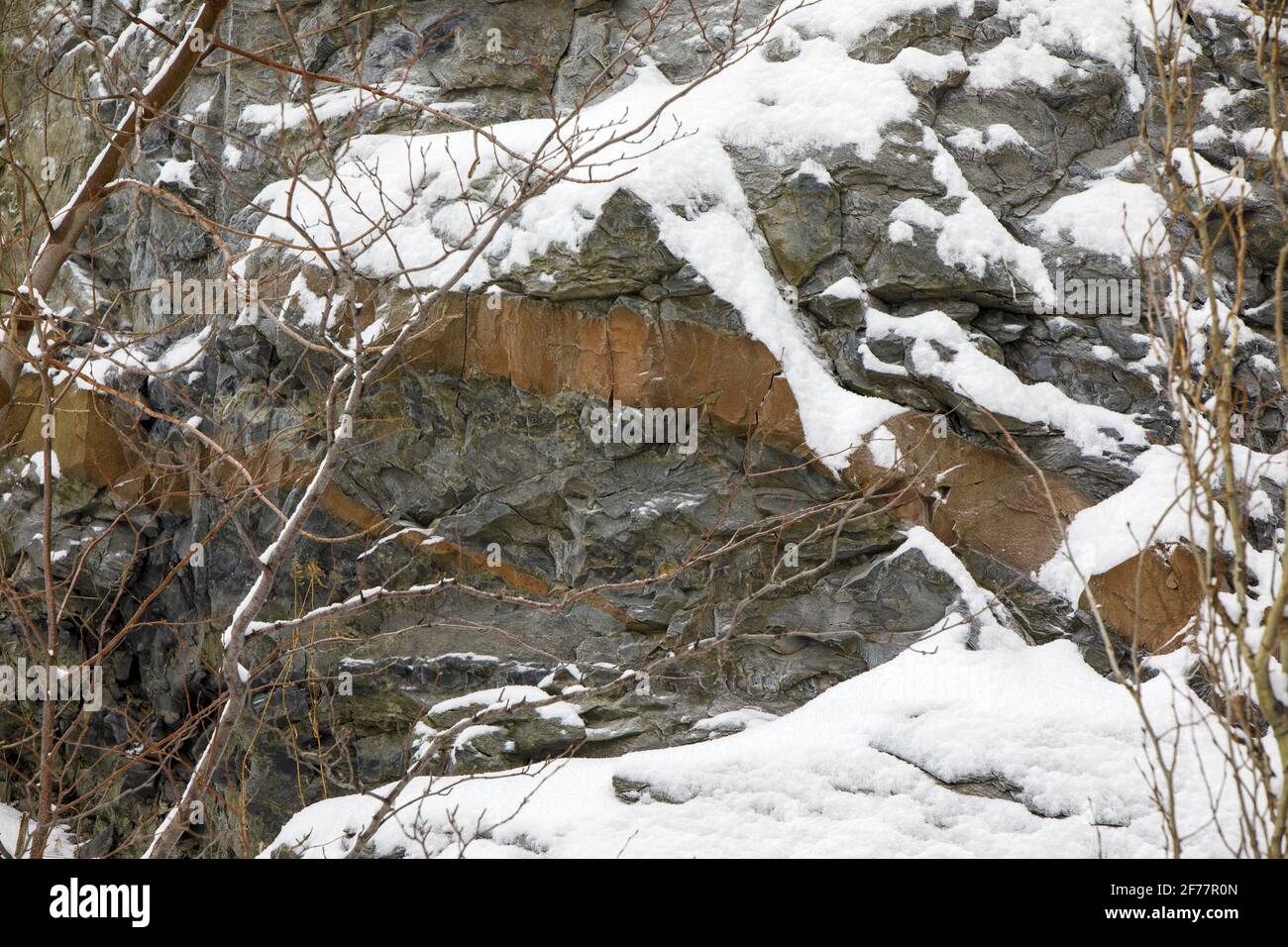 Canada, provincia del Quebec, Montreal, Oratorio di San Giuseppe del Monte reale Foto Stock