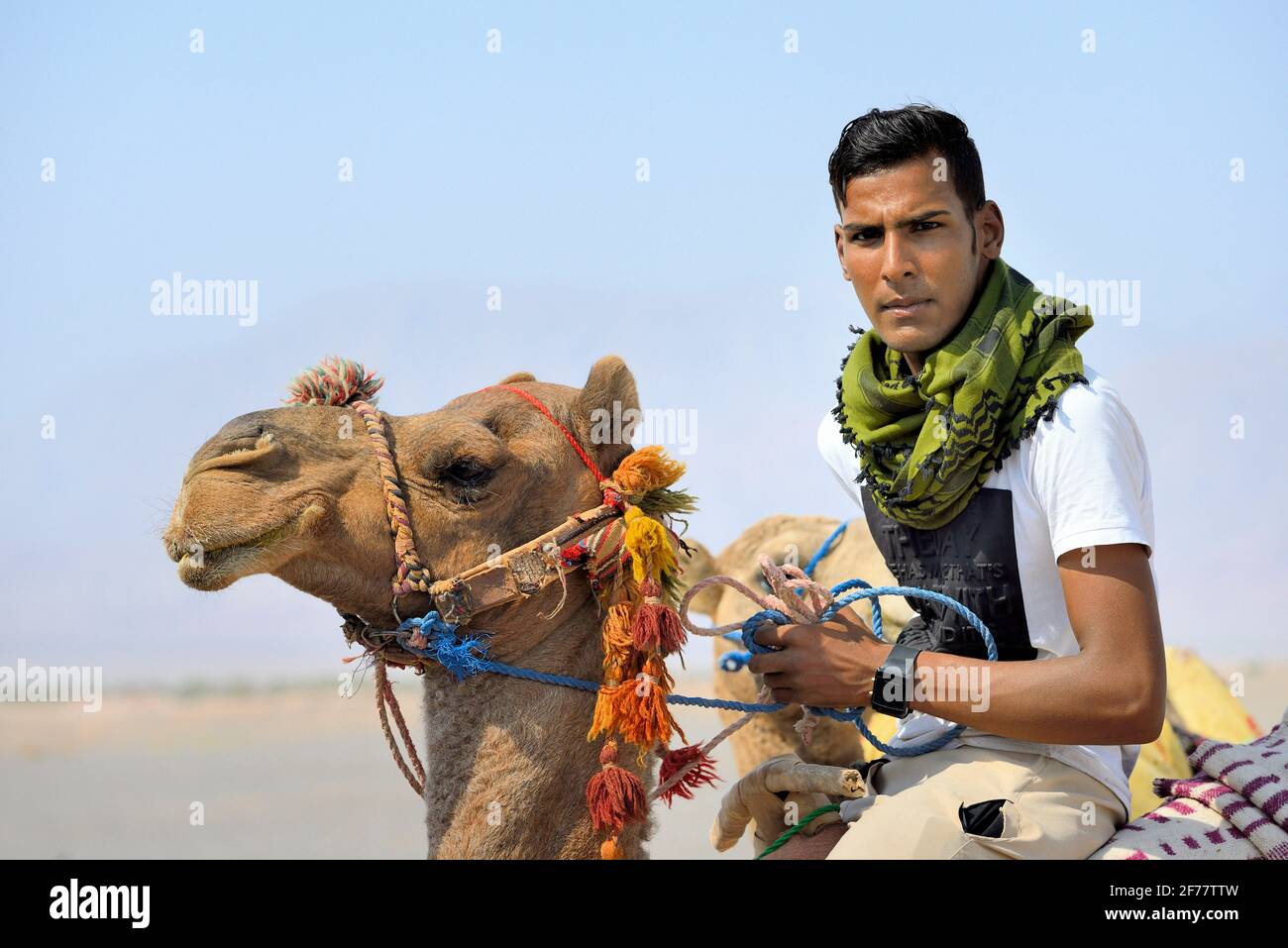 Iran, provincia di Kerman, dichiarata Patrimonio Mondiale dall'UNESCO, LUT deserto (Dasht-e LUT), camel driver Foto Stock