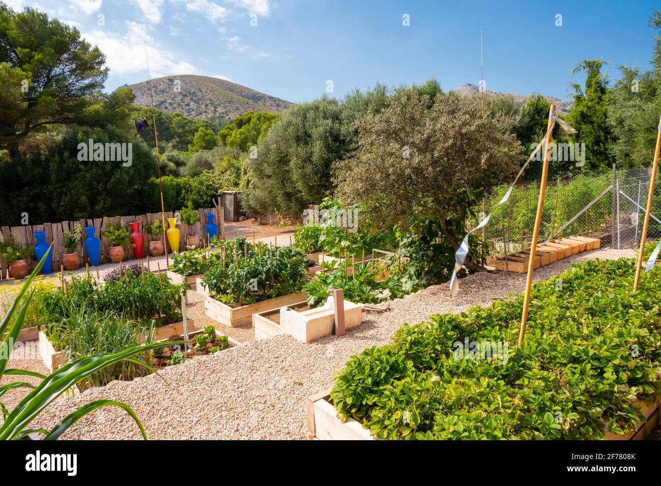 Spagna, Isole Baleari, Maiorca, Museo SA bassa Blanca, giardino sperimentale di biocucina Foto Stock