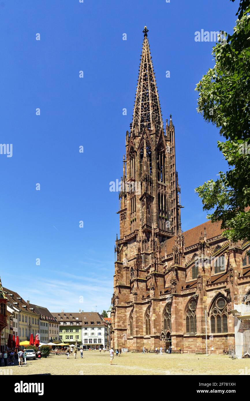 Germania, Baden Wurttemberg, Freiburg im Breisgau, piazza Münsterplatz e la cattedrale (Münster) Foto Stock