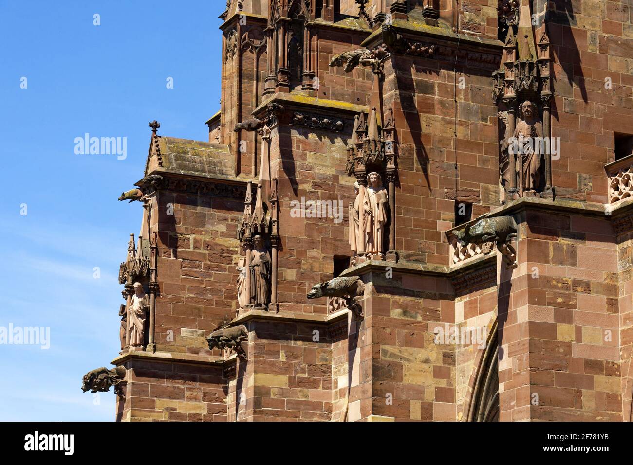 Germania, Baden Wurttemberg, Freiburg im Breisgau, la cattedrale (Münster) Foto Stock