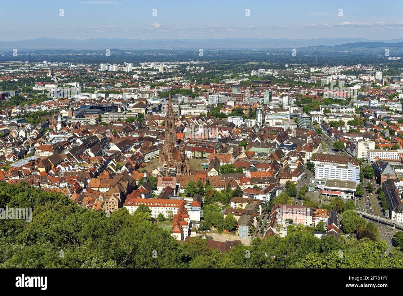 Germania, Baden Wurttemberg, Freiburg im Breisgau, vista dal Schlossberg con la cattedrale (Münster) Foto Stock