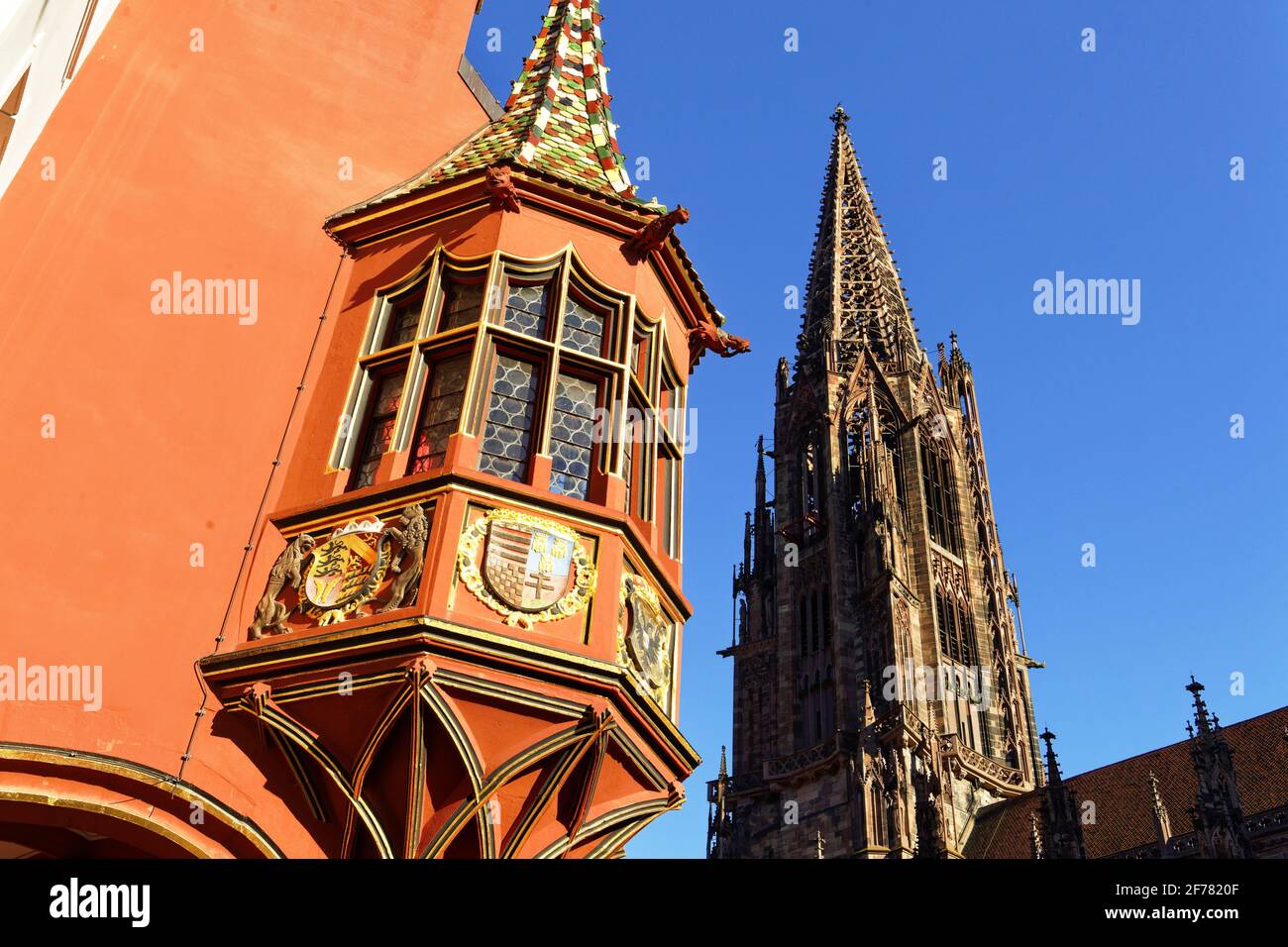 Germania, Baden Wurttemberg, Freiburg im Breisgau, Münsterplatz (piazza della cattedrale), historisches Kaufhaus (mercanti) e la cattedrale (Münster) Foto Stock