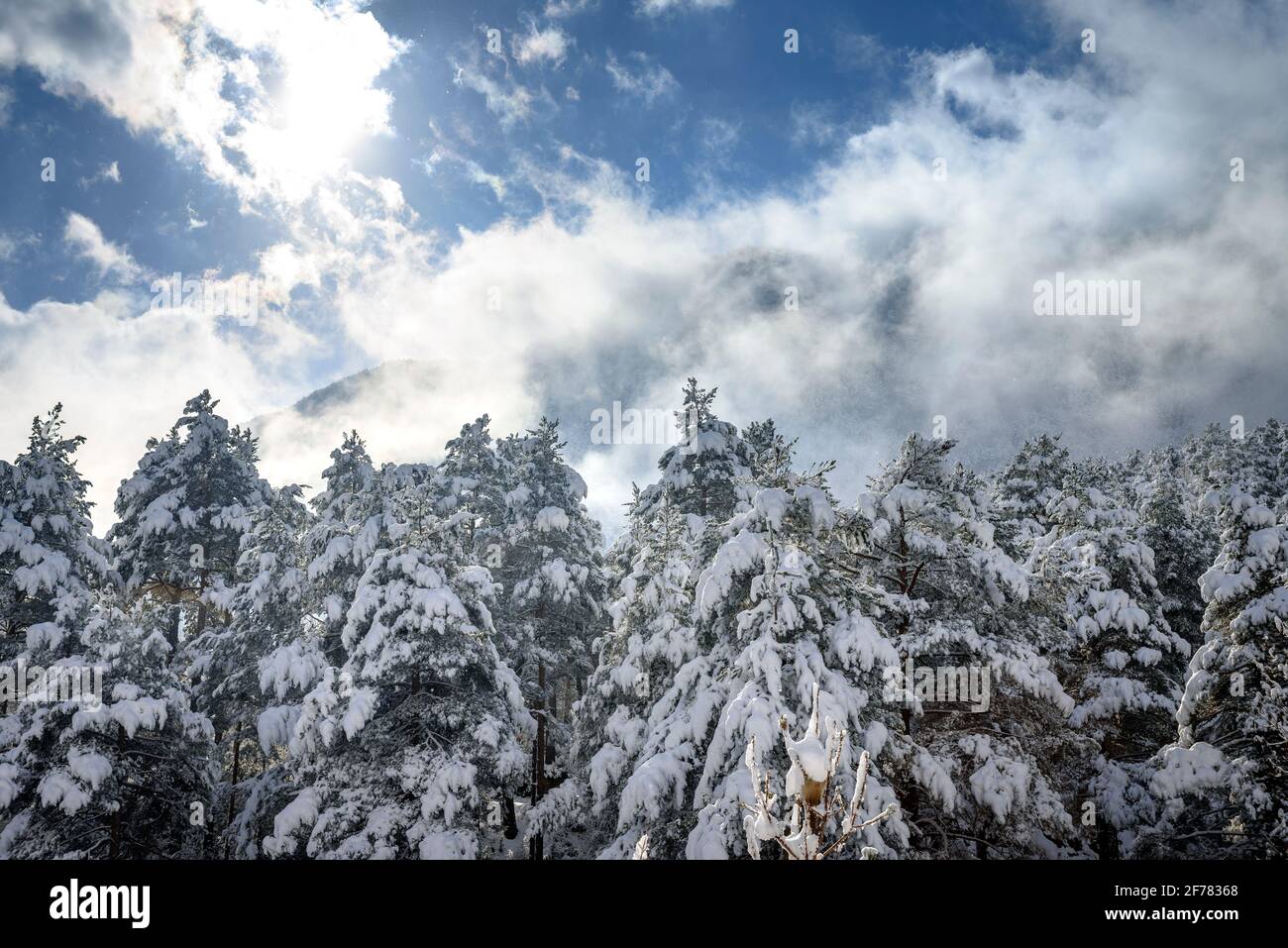 Eremo Sant Joan de l'Avellanet e foreste intorno alla valle del Bastareny dopo una nevicata invernale (provincia di Barcellona, Catalogna, Spagna, Pirenei) Foto Stock