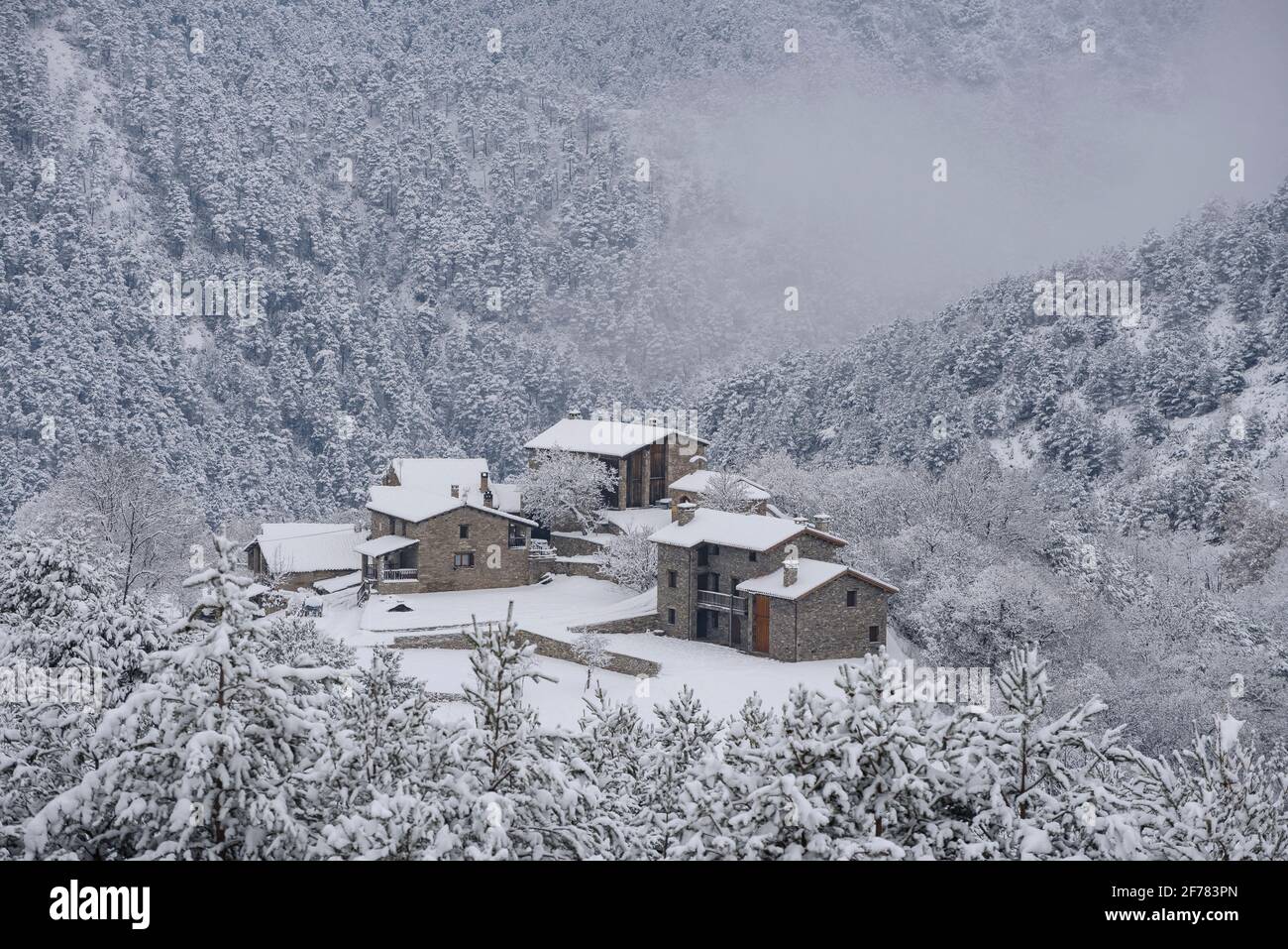 Dintorni innevati di Maçaners e Valle delle Salde in inverno (provincia di Barcellona, Catalogna, Spagna, Pirenei) ESP: Entornos de Maçaners y del Pedraforca Foto Stock