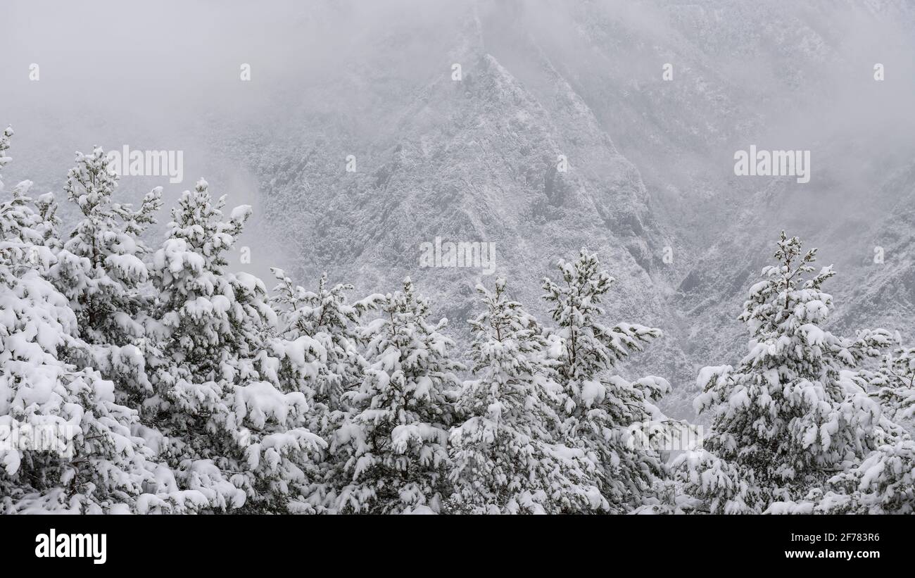 Dintorni innevati di Maçaners e Valle delle Salde in inverno (provincia di Barcellona, Catalogna, Spagna, Pirenei) ESP: Entornos de Maçaners y del Pedraforca Foto Stock