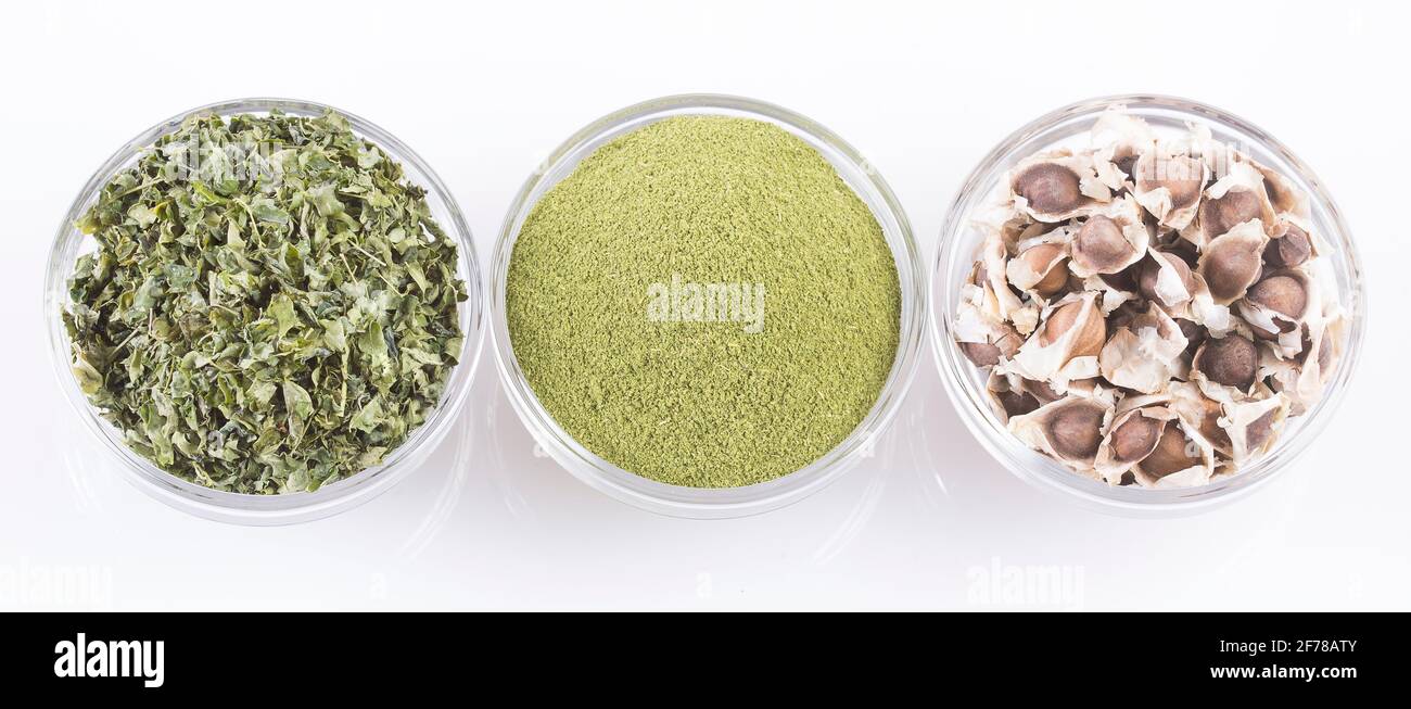 Semi, foglie e semi di moringa - Moringa oleifera Foto Stock