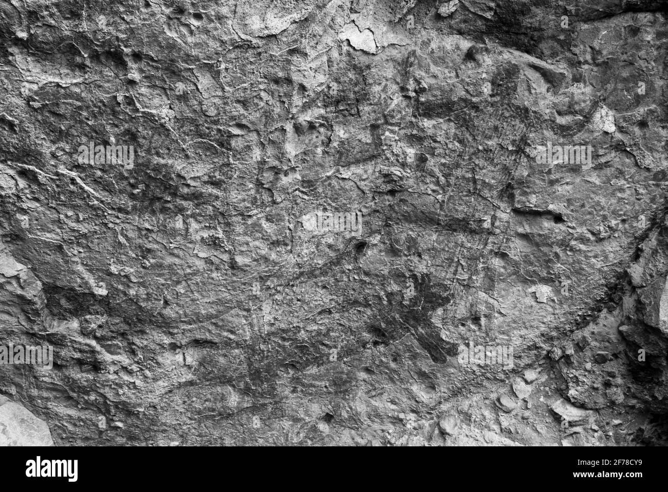 Grotta roccia pittura Cueva del Raton Foto Stock