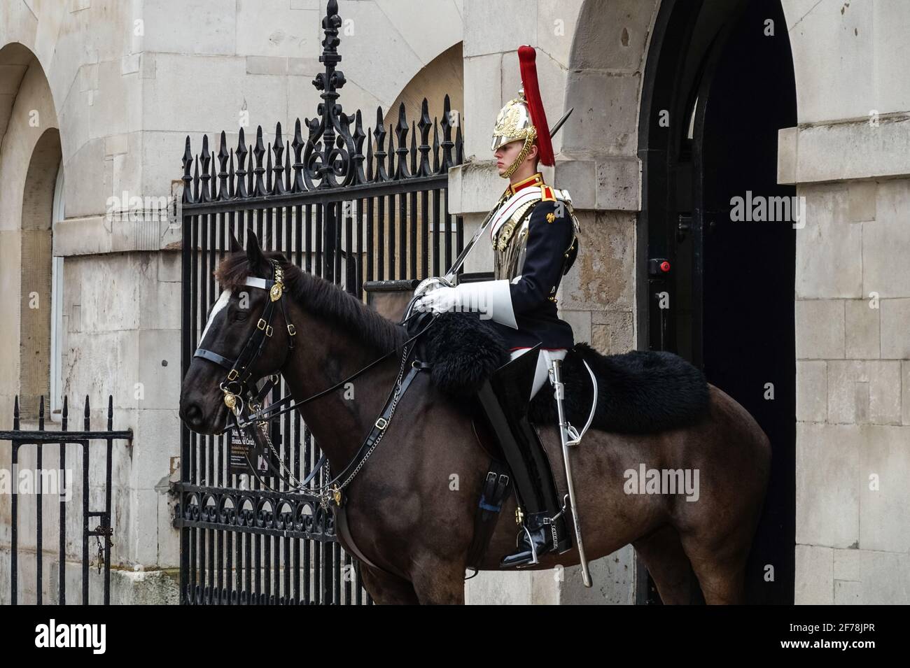 È montato un soldato di cavalleria della famiglia a Horse Guards, Whitehall, Londra England Regno Unito Regno Unito Foto Stock