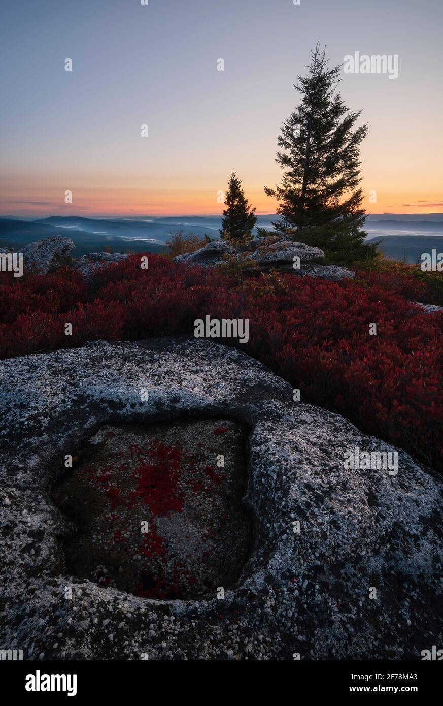 La mattina presto bagliore che si insinua sull'orizzonte in una mattina di inizio ottobre dal Dolly Sods Wilderness sul fronte Appalachian nella Virginia Occidentale. Foto Stock