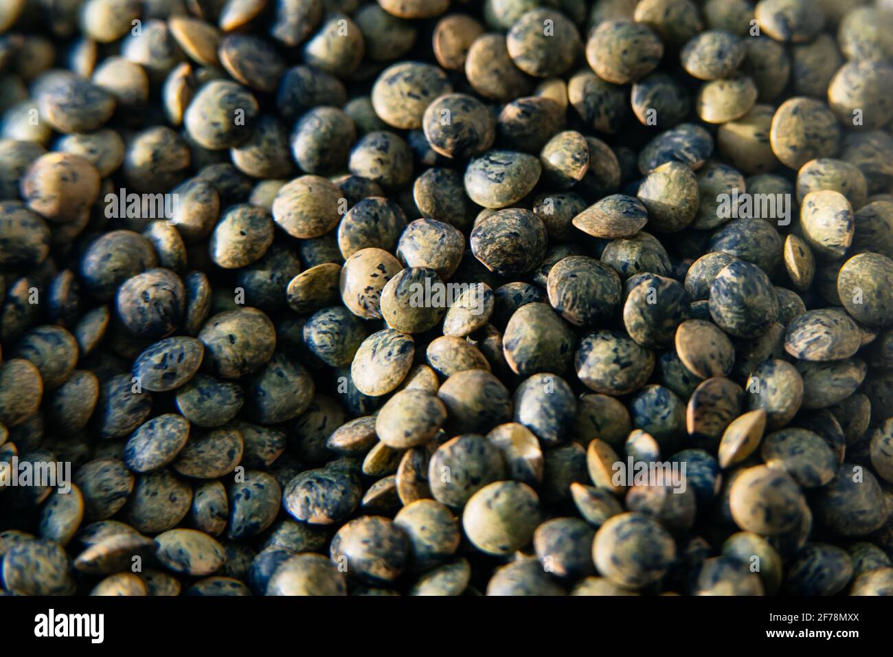 Vista macro delle lenticchie verdi. Alimentazione sana, vegetariana, e dieta vegana. Proteina a base vegetale. Foto Stock