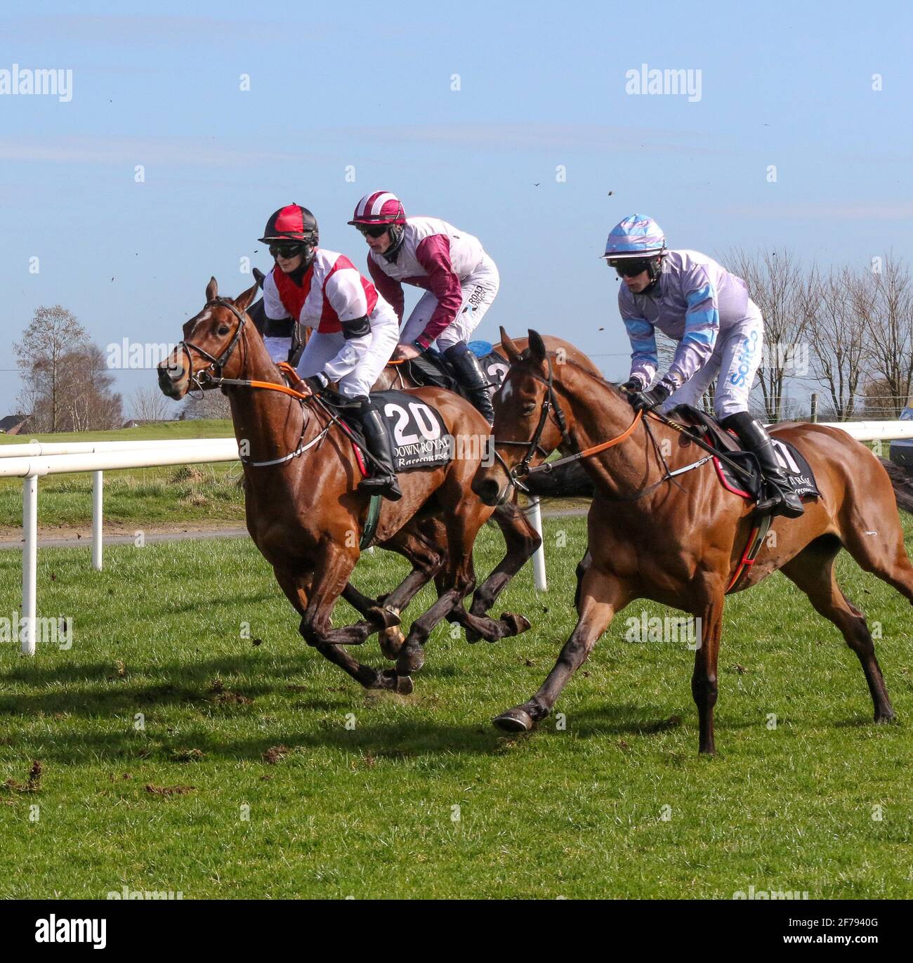Corse di cavalli nel Regno Unito e in Irlanda. Down Royal Racecourse, Lisburn, Irlanda del Nord. 17 marzo 2021, St Patrick's Day National Hunt Meeting. Bluegrasshorsefeed.com gara di ostacoli Maiden, tenuta a porte chiuse. Racehorse Avondale sorrisi (20 - centro) guidato da Sarah Kavanagh, addestrato da Paul Nolan e di proprietà di Edward Dillon Partnership. Foto Stock