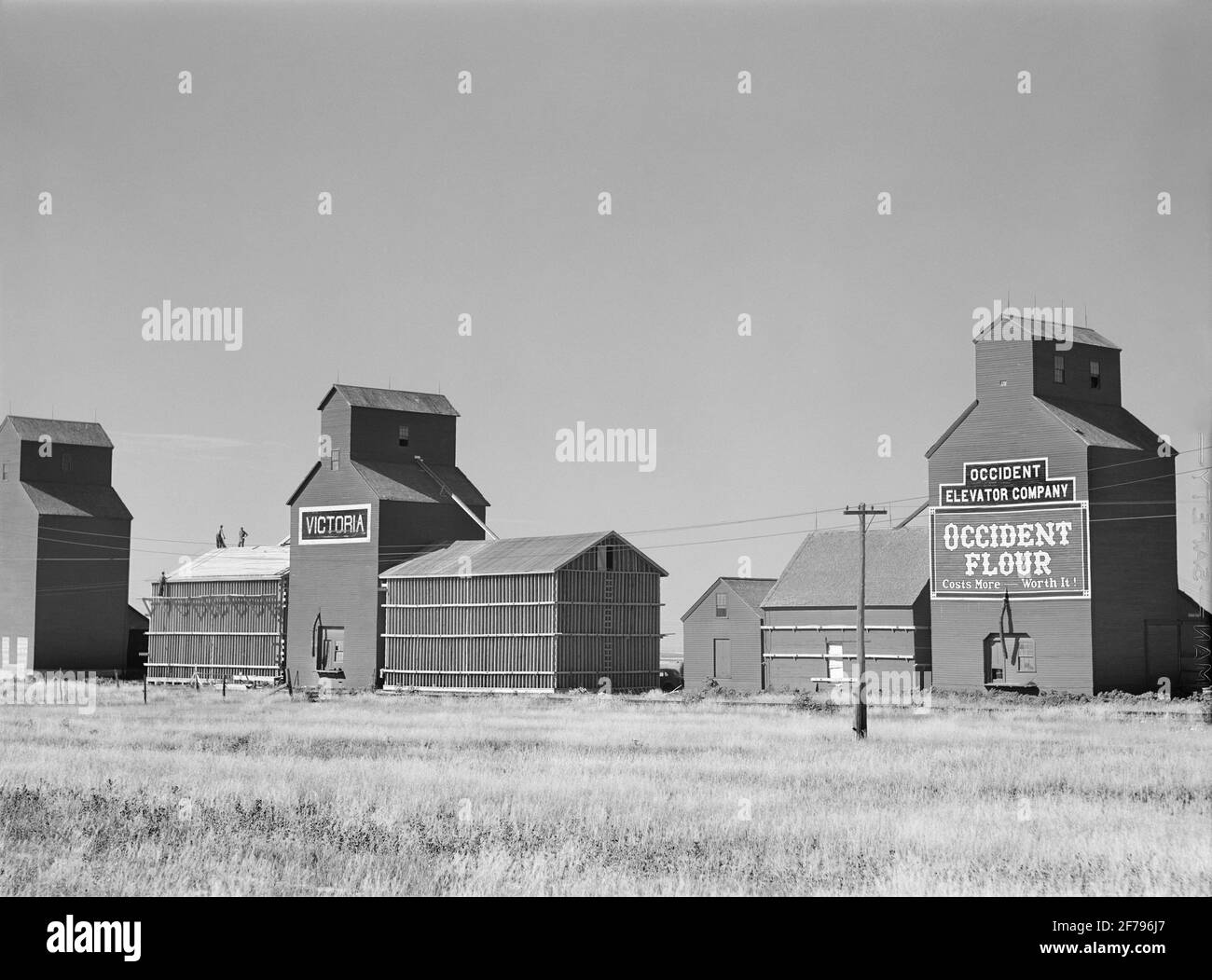 Elevatori di grano, Homestead, Montana, USA, Marion Post Wolcott, U.S. Farm Security Administration, agosto 1941 Foto Stock