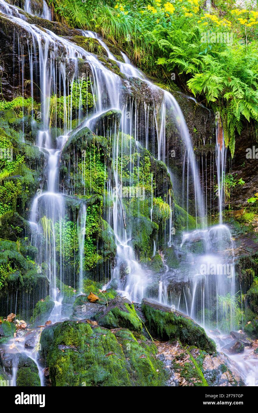 Cascata di Fahler nella Foresta Nera, Germania Foto Stock